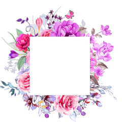 flowers text box pink purple freetoedit
