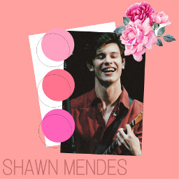 freetoedit flowers shawnmendes roses pink