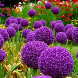 freetoedit beautiful purpleflowers gigantic remixit
