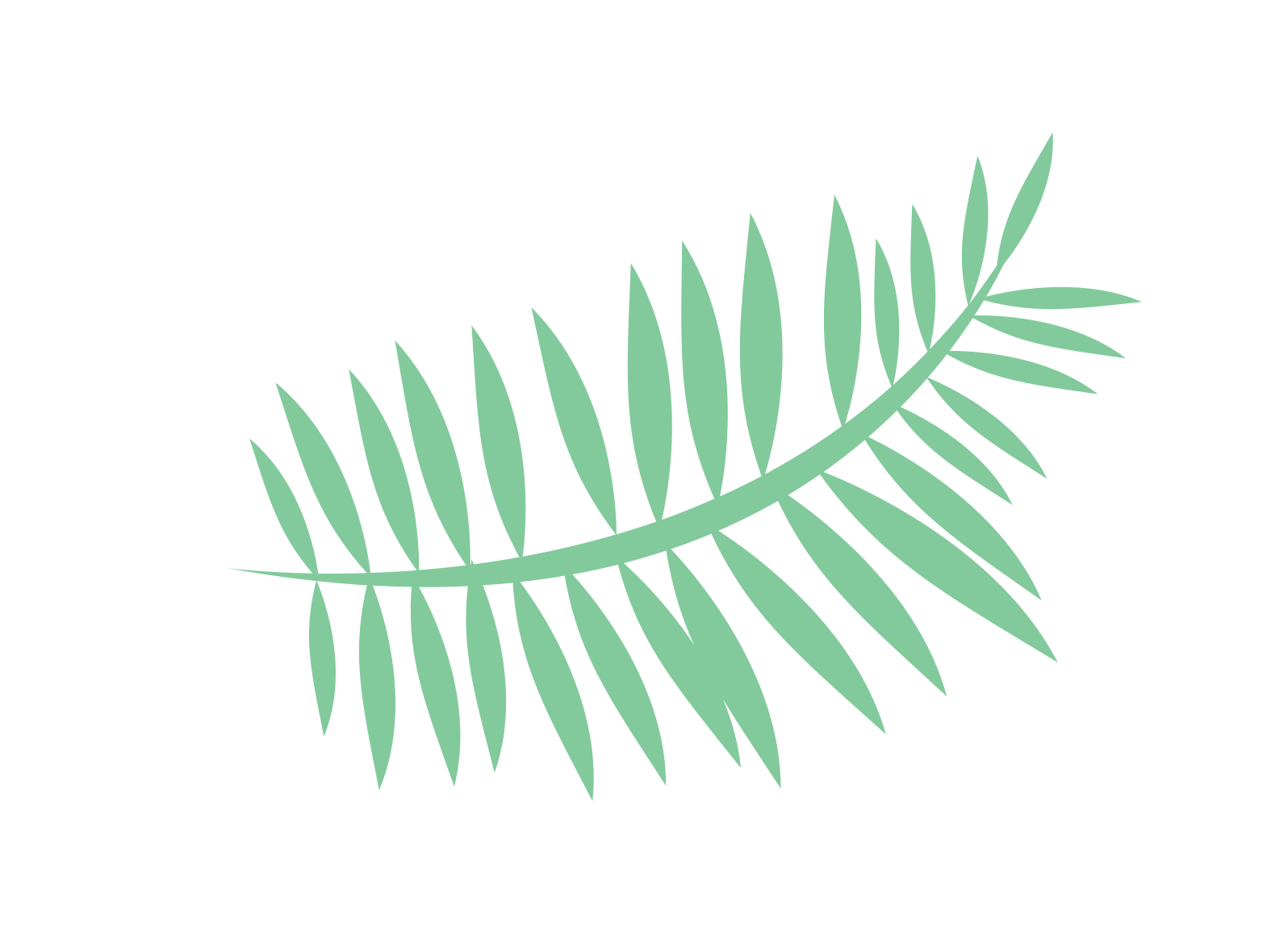 leaf tropical summer palm palmleaf sticker by @picsart