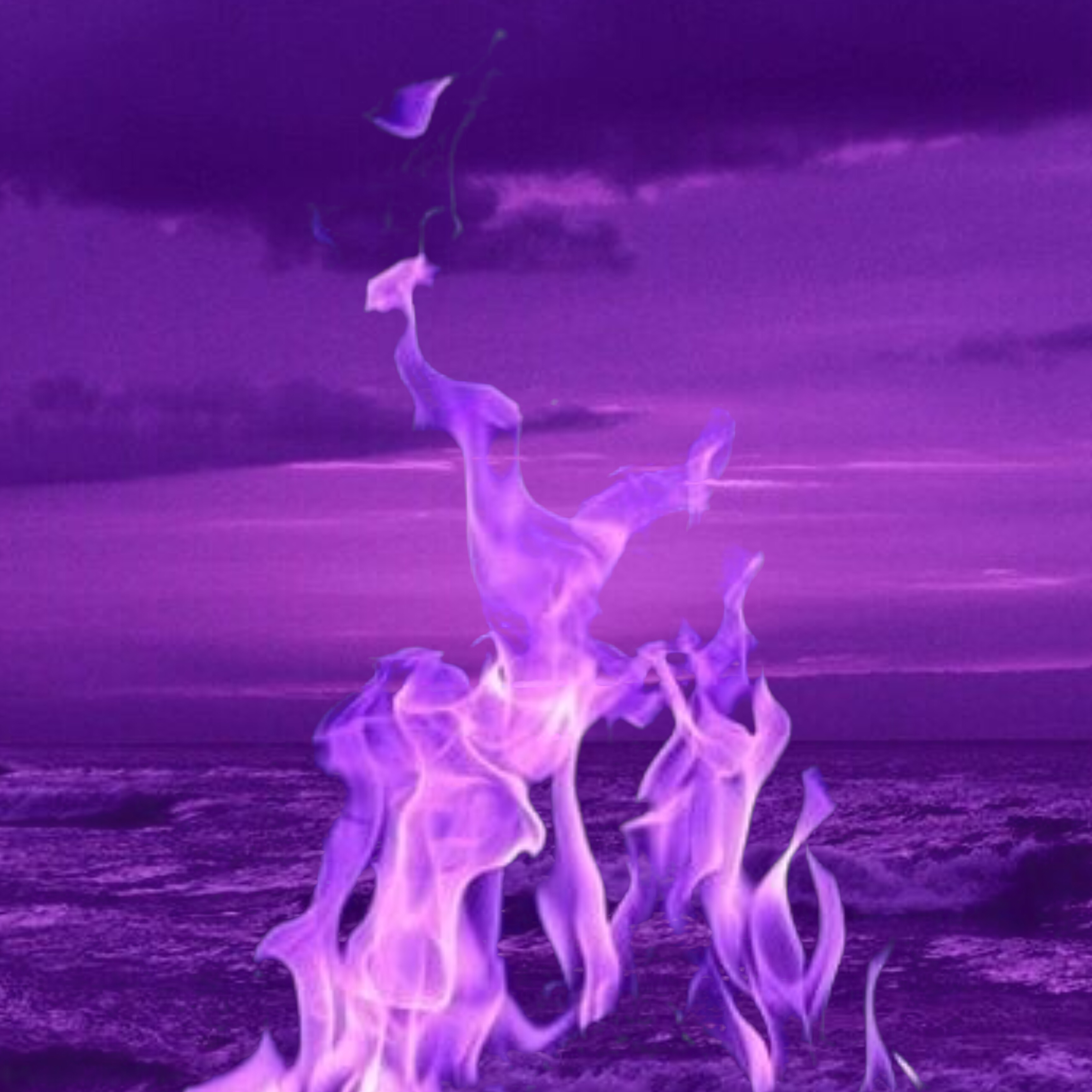 Purple flame. Purple Fire aesthetic. Fire. Sea of Flames.