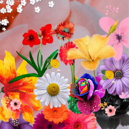 freetoedit flowerpower flowers flower wallpaper