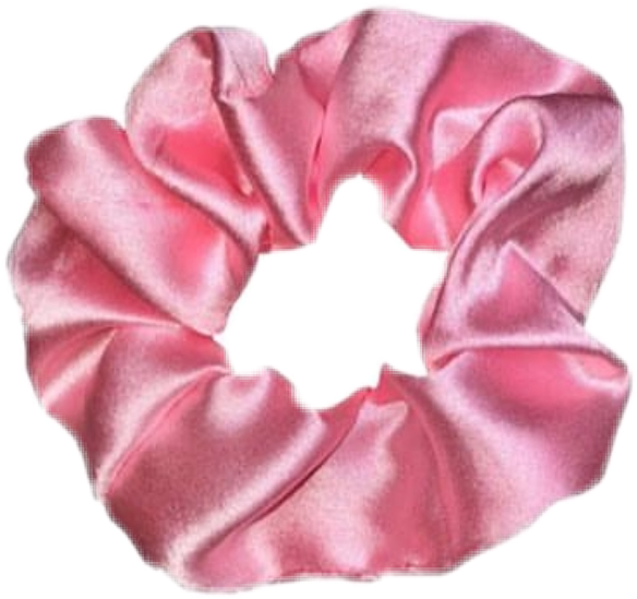 Niche Aesthetic Scrunchie Freetoedit Sticker By Retroin