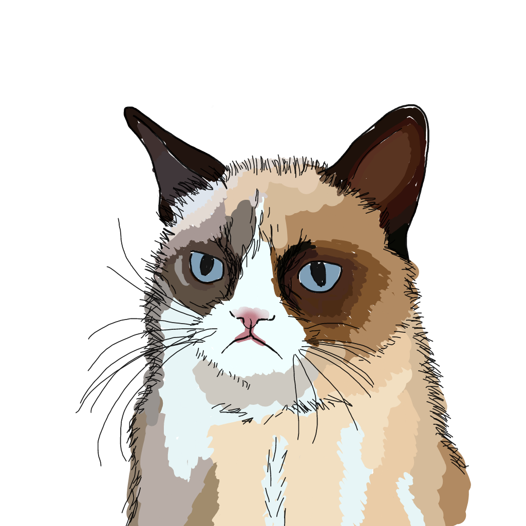 Grumpy cat нарисовать