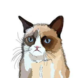 freetoedit grumpy cat grumpycat drawing dcgrumpycat