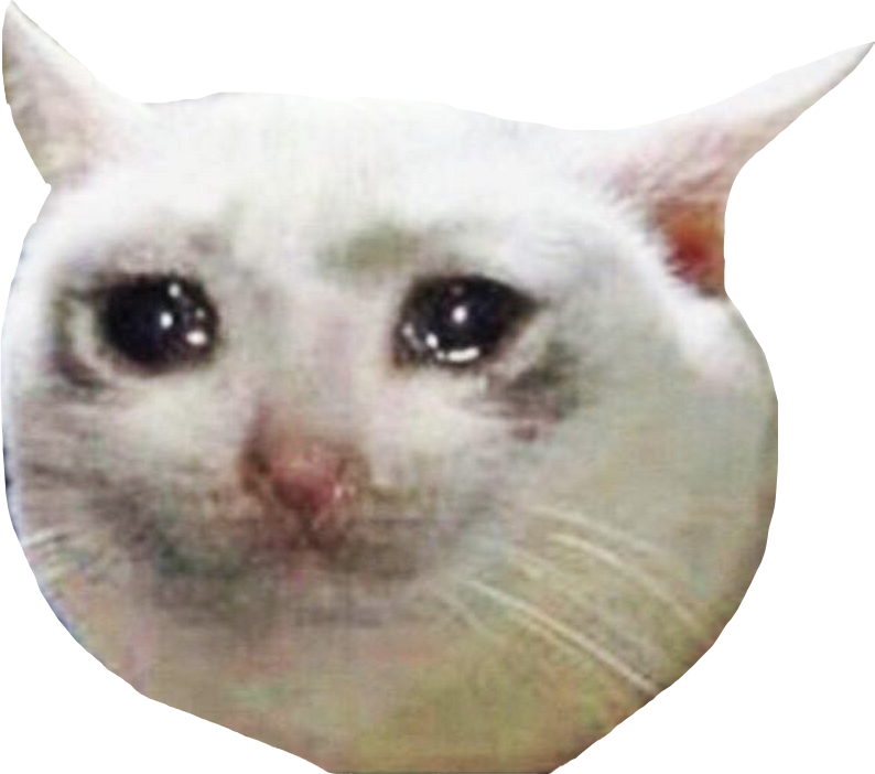 Crying Cat Meme Png Png Image Collection