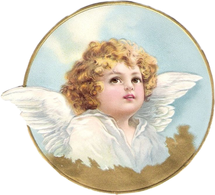 freetoedit sccherubs cherubs sticker by @11774442535229494