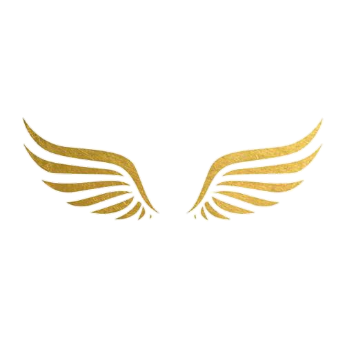 gold wings angel aesthetic air sticker by @barunaaaa