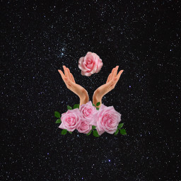 freetoedit beauty roses galaxy hands