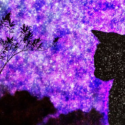galaxy galaxybrush cat stars silhouette