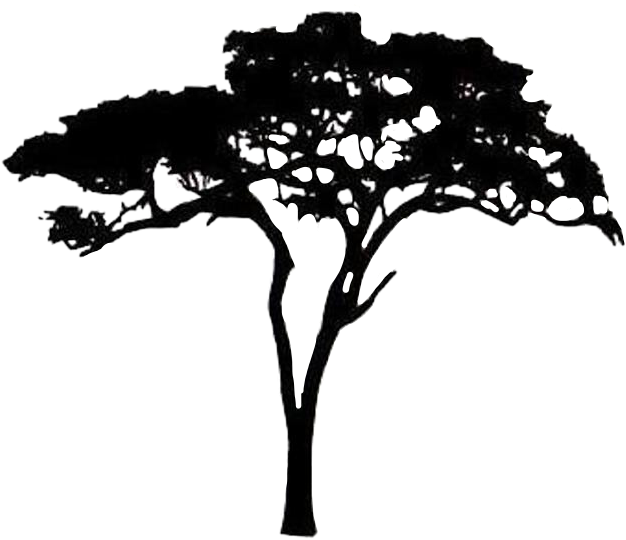 safari trees tree freetoedit sticker by @the_real_adelee