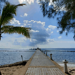 caymanislands beach water bridge trees