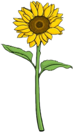 Featured image of post Tumblr Grunge Sunflower Aesthetic - See more ideas about aesthetic grunge tumblr, aesthetic grunge, grunge tumblr.