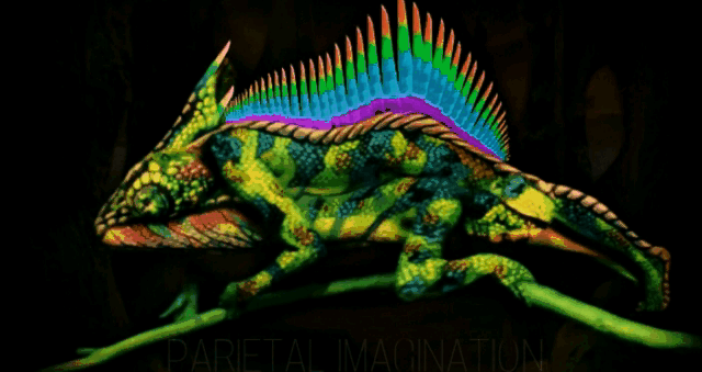 хамелеон chameleon GIF by prosto_egorik