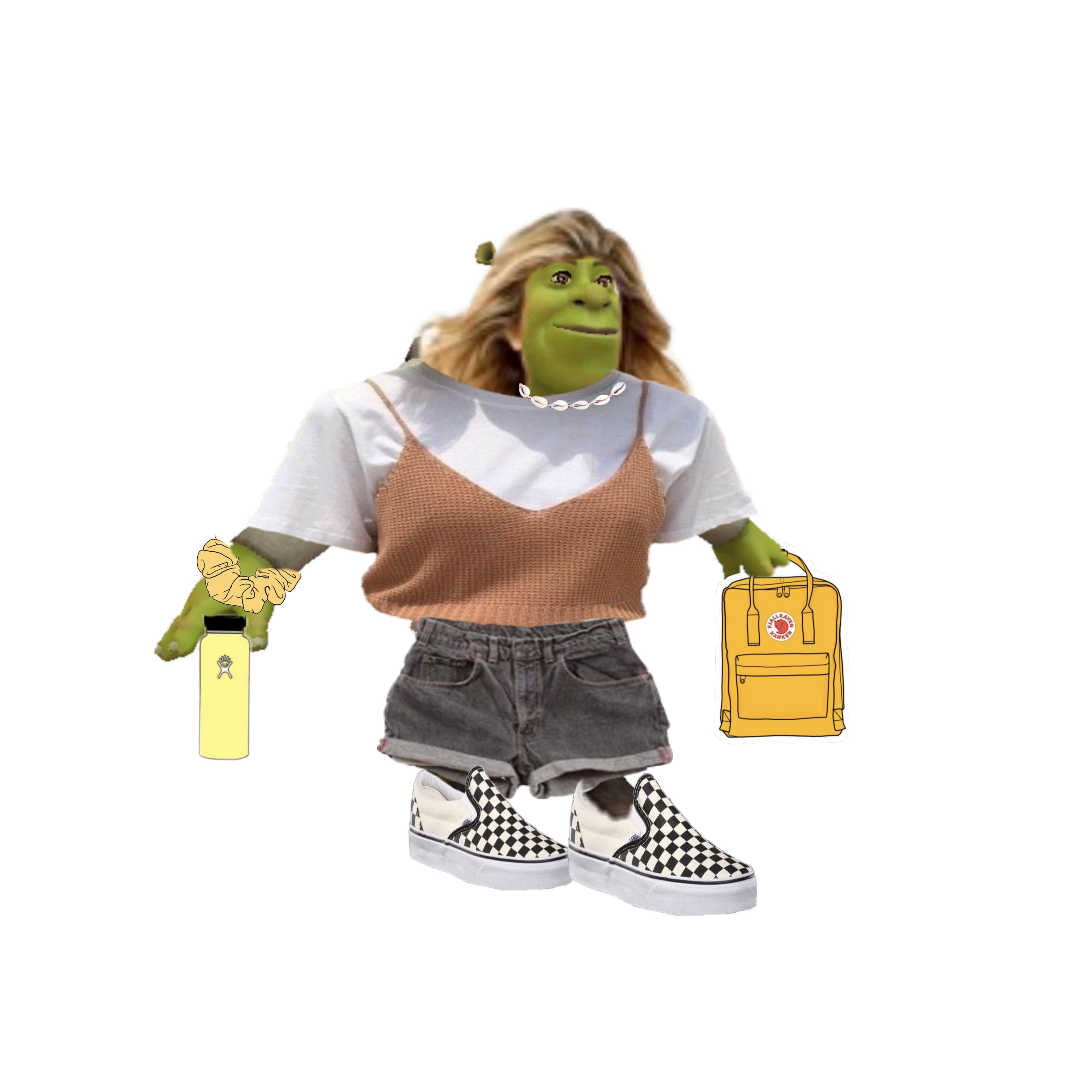 shrek vsco girl