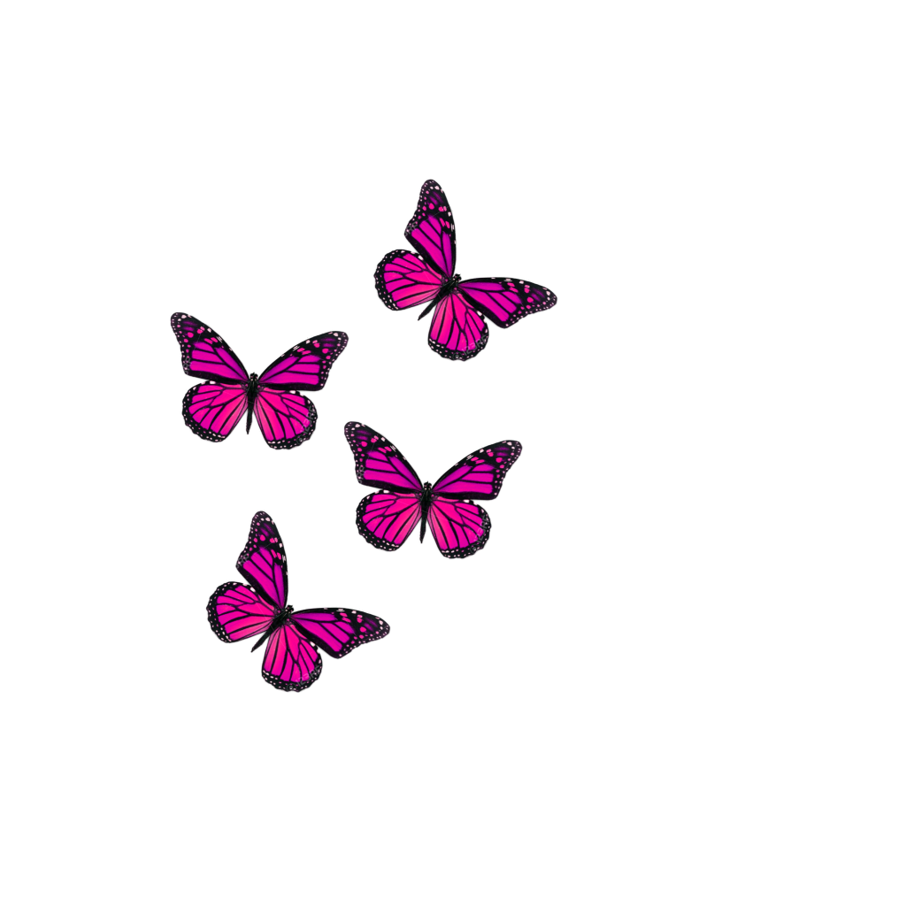 Butterfly Drawing Made With Picsart Drawing Butterfly | Sexiz Pix