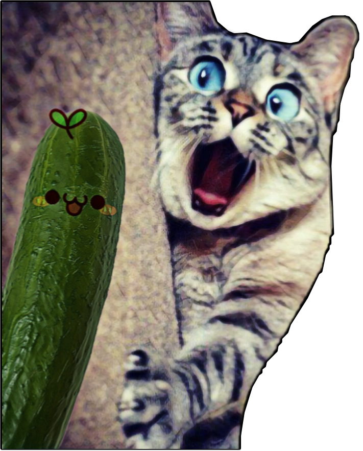 cat cucumber catlover funny sticker by xxreaperxkittyxxart