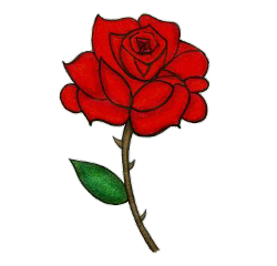 rose flower red green nature freetoedit
