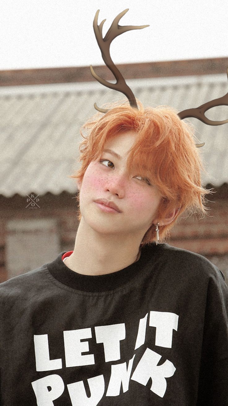Straykids Straykidsfelix Felix Kpop Koreanboy Boy Olene