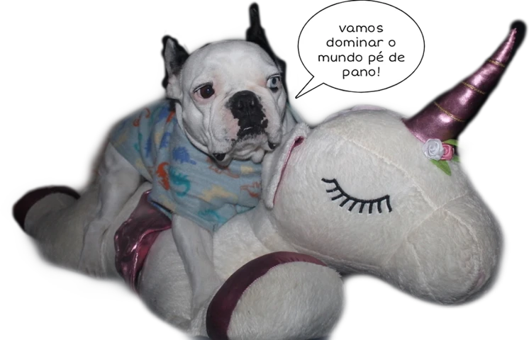 Pica Pau E Pe De Pano Home Facebook