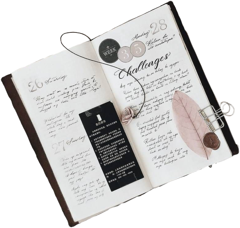 Diary перевод. Aesthetic дневник. Diary aesthetic. Pink aesthetic Diary. Diary ideas aesthetic.