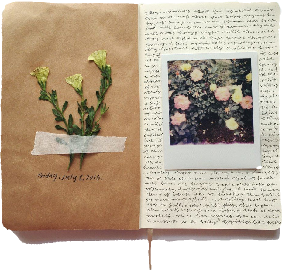 freetoedit scdiary diary sticker by liza1311214