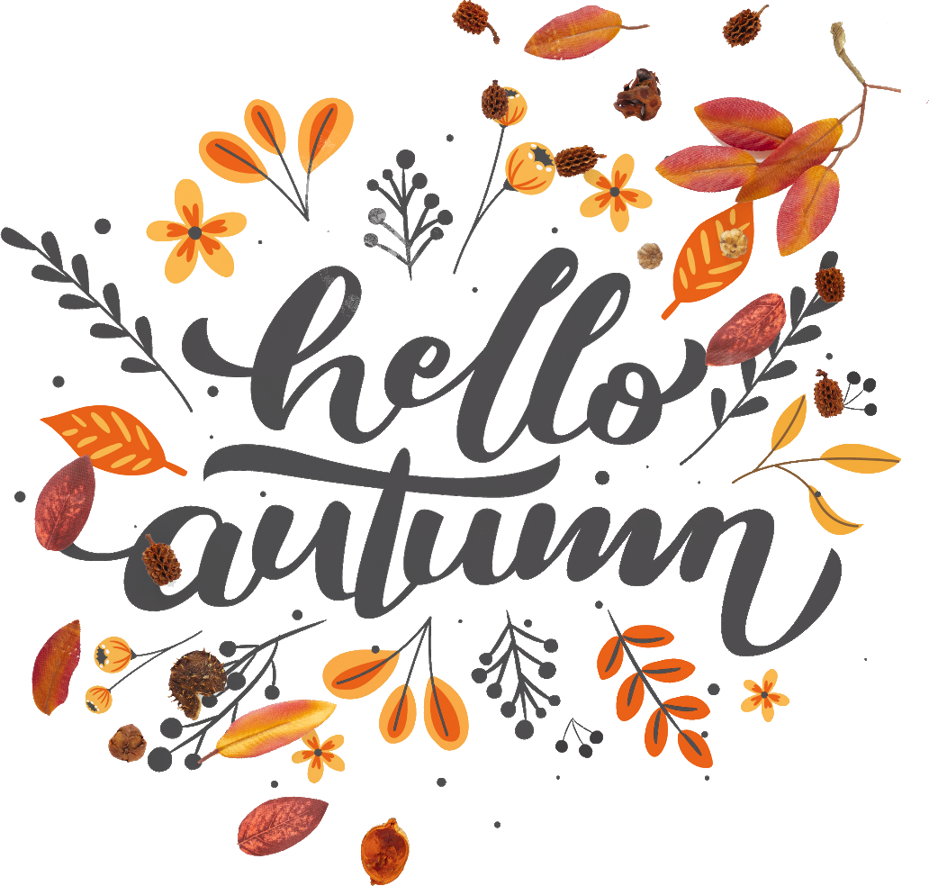 Hello fall image - ðŸ§¡ Goodbye, summer - Hello autumn! 