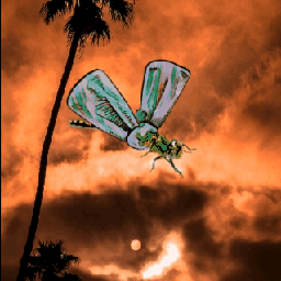 freetoedit srcbowtie bowtie dragonfly gif