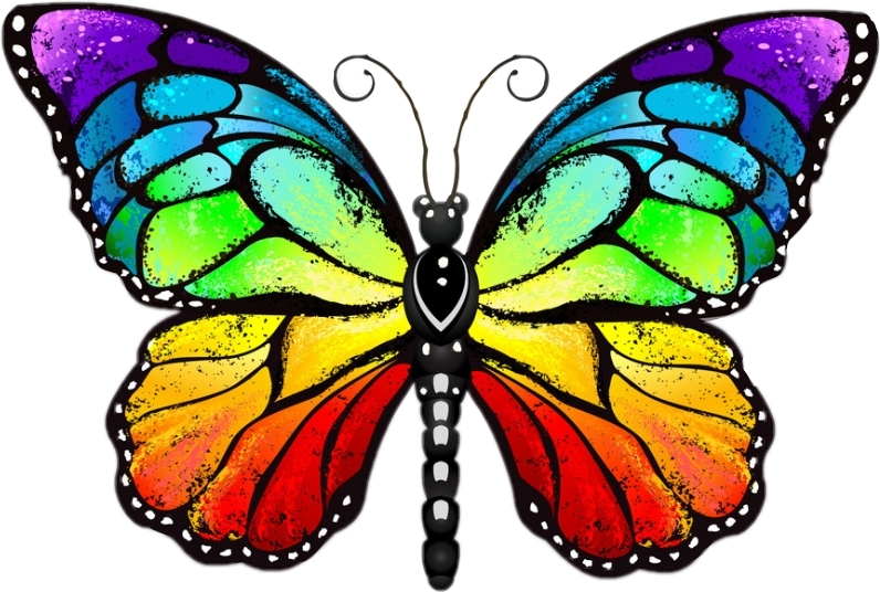 Радужная бабочка. Разноцветные бабочки. Радужные бабочки на белом фоне. Радужные бабочки для печати.