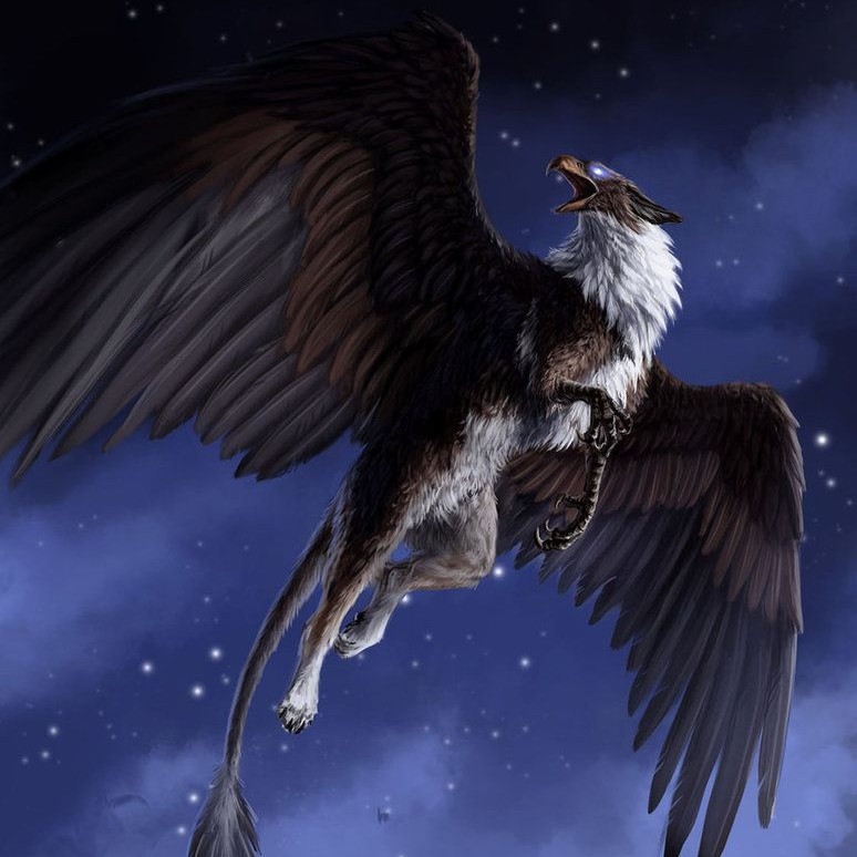 ����� ��������, �������� �������� ��������