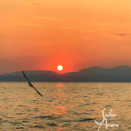mobilephotography sunset seaview sunsetphotography