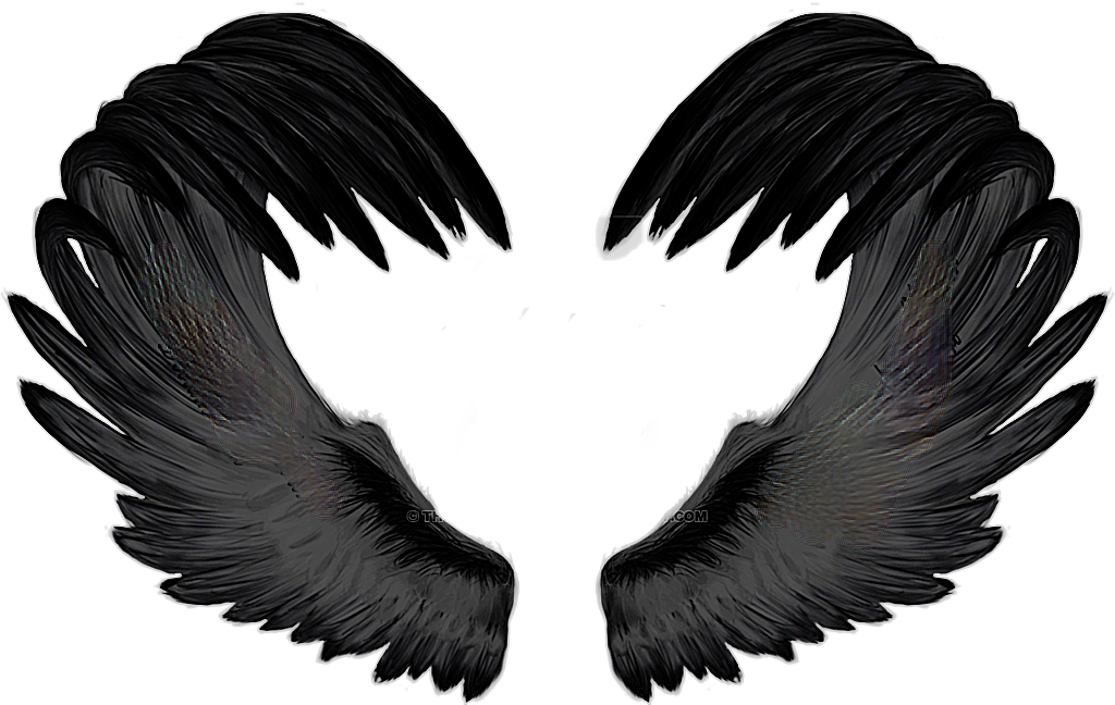 Черное крыло песня. Черные Крылья. Крылья демона. Черные ангельские Крылья. Крылья ангела черные.