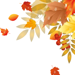 leaf yellow yellowleaf orange autumn freetoedit scautumnleaves