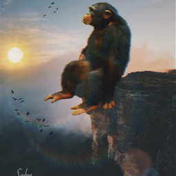 ecgiantanimals giantanimals chimpanzee freetoedit