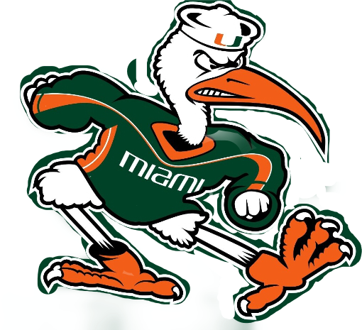 miamihurricanes freetoedit sticker by @bohdanna68