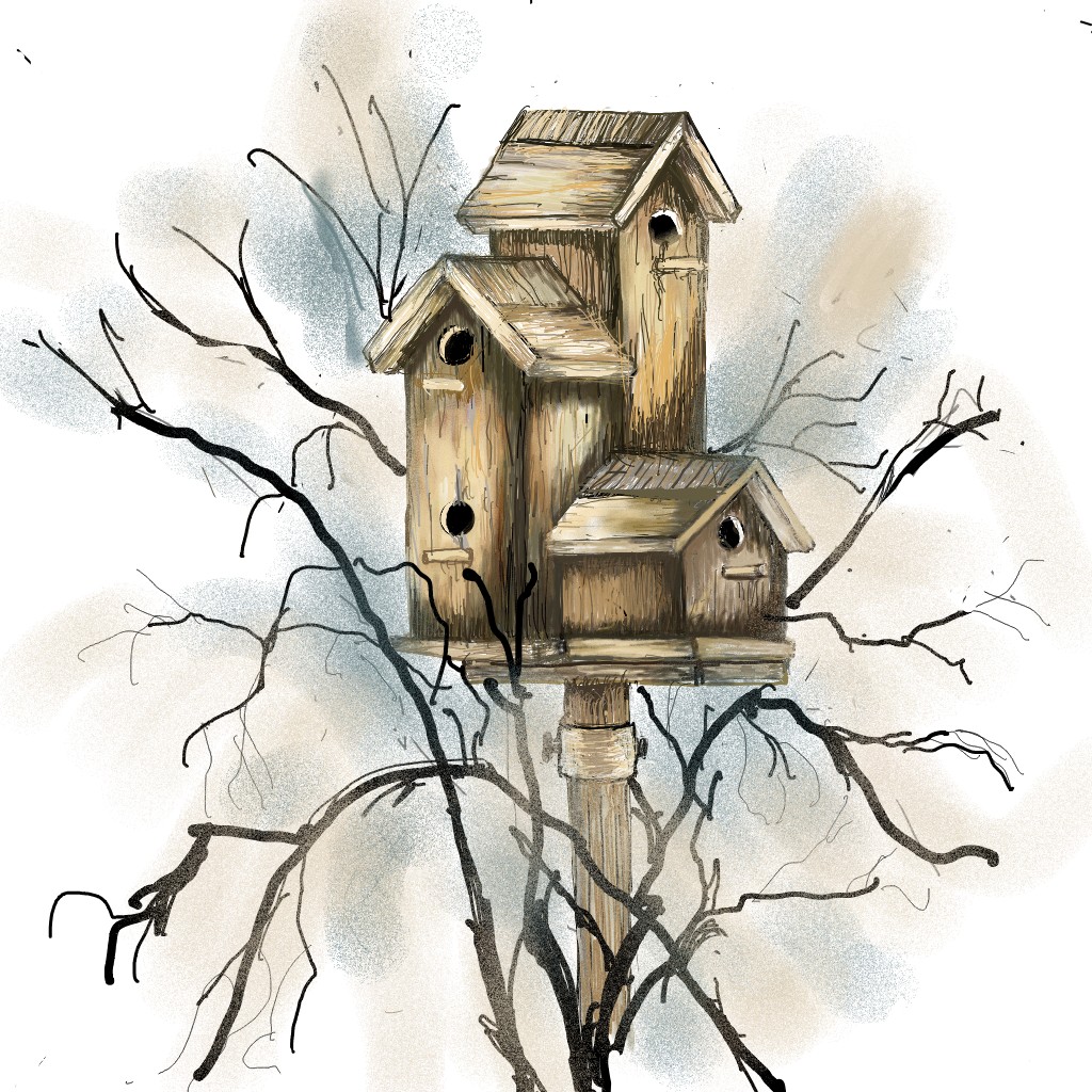 Birdhouse Outline  outlineart drawing art birdhouse fypシ tat   TikTok