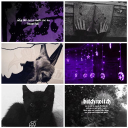 aestheticboard moodboard purpleaesthetic blackaesthetic goth freetoedit