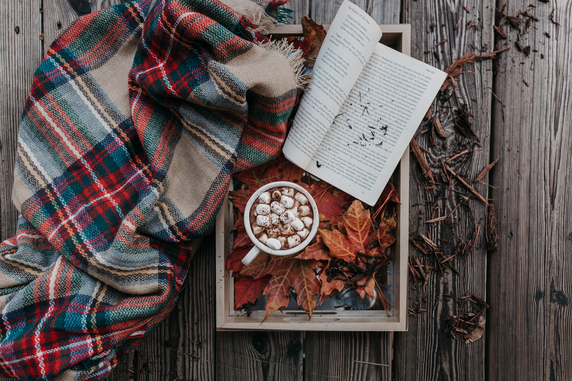 autumn fall cozy hotchocolate 306587739307201 by @freetoedit.