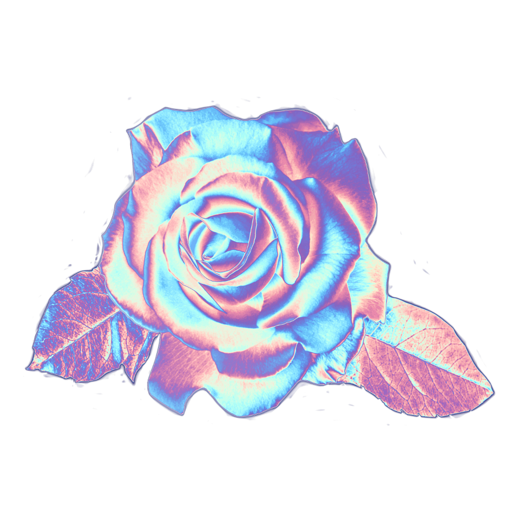 Cool rose. Голографическая роза. Flower Sticker Holographic. Голографические цветы клипарт. Голографический цветок Аватария.