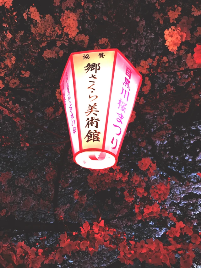 桜の花 日本の風景 桜みくじおみくじ桜風景美しい幸せ Image By Sirikomon7 桜の花 日本の風景 桜みくじおみくじ桜風景美しい幸せ Image By Sirikomon7