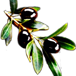freetoedit scolives olives