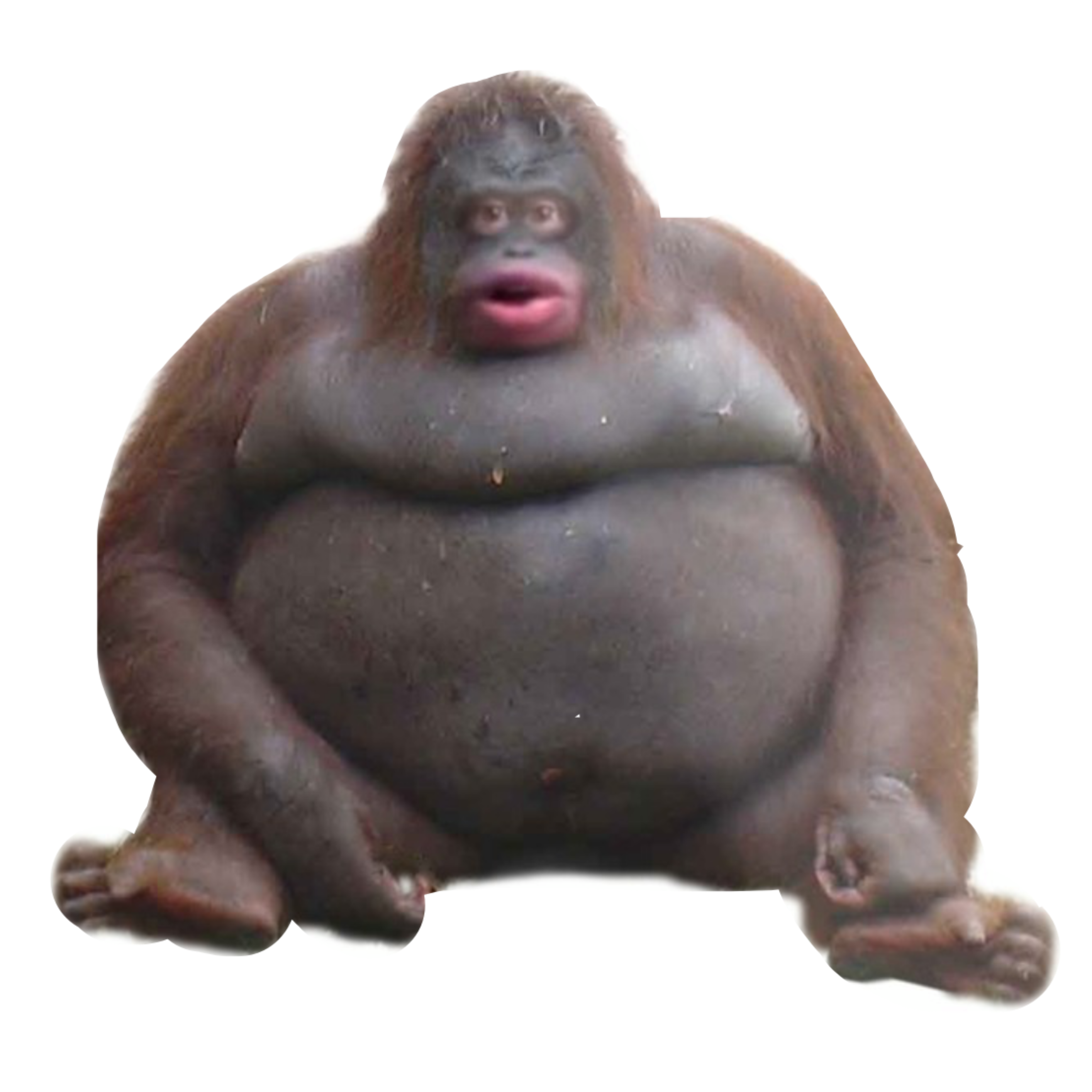 stinky freetoedit Stinky ʕ**ʕ**ʔ image by @daniel_007yt.