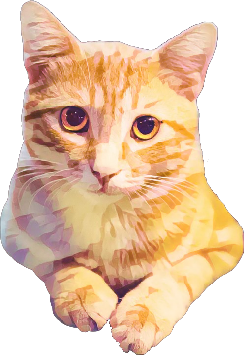 Freetoedit Cat Orange Cute Cat Sticker By Officiallintng