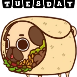 freetoedit tacotuesday sctacotuesday