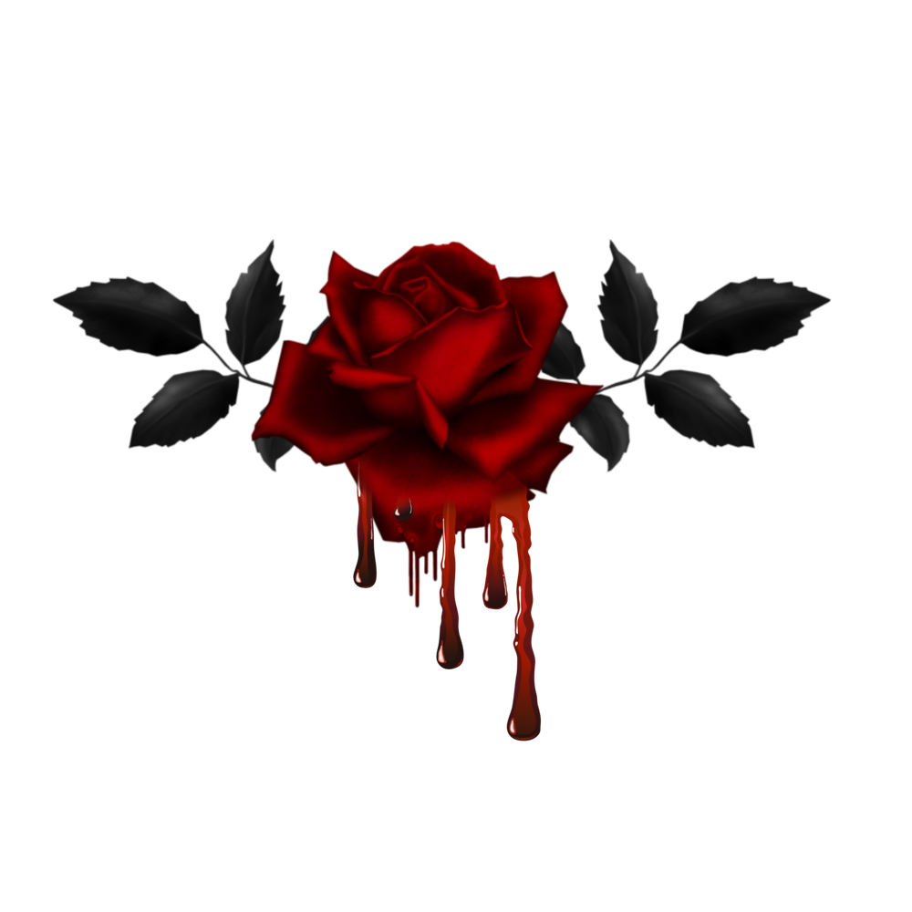 Кровавые цветы 82. Роза темно красная на белом фоне.
