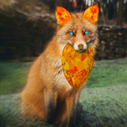 ecswarovskitodayiam swarovskitodayiam freetoedit art fox