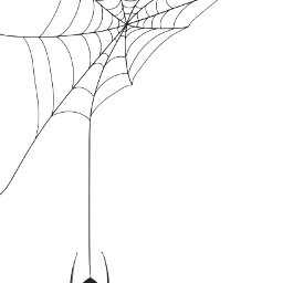 spiderweb spider freetoedit scspiderweb