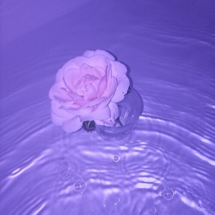 Water Flowers Aesthetic By Aestheticcc