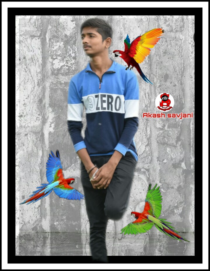 akash animal freetoedit #Akash image by @aakashsavjani