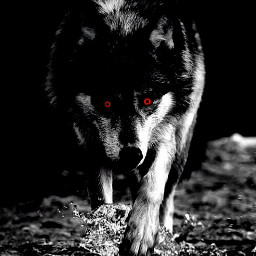 wolf brighten demon